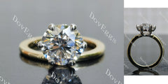Round solitaire moissanite engagement ring| DovEggs