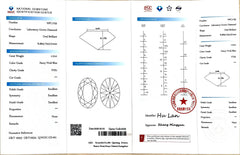 1.21ct Oval Brillant Cut Lab Diamond – Fancy Vivid Blue Color VVS1 | Doveggs Certified