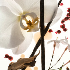 Vanilla Skin (100mL)