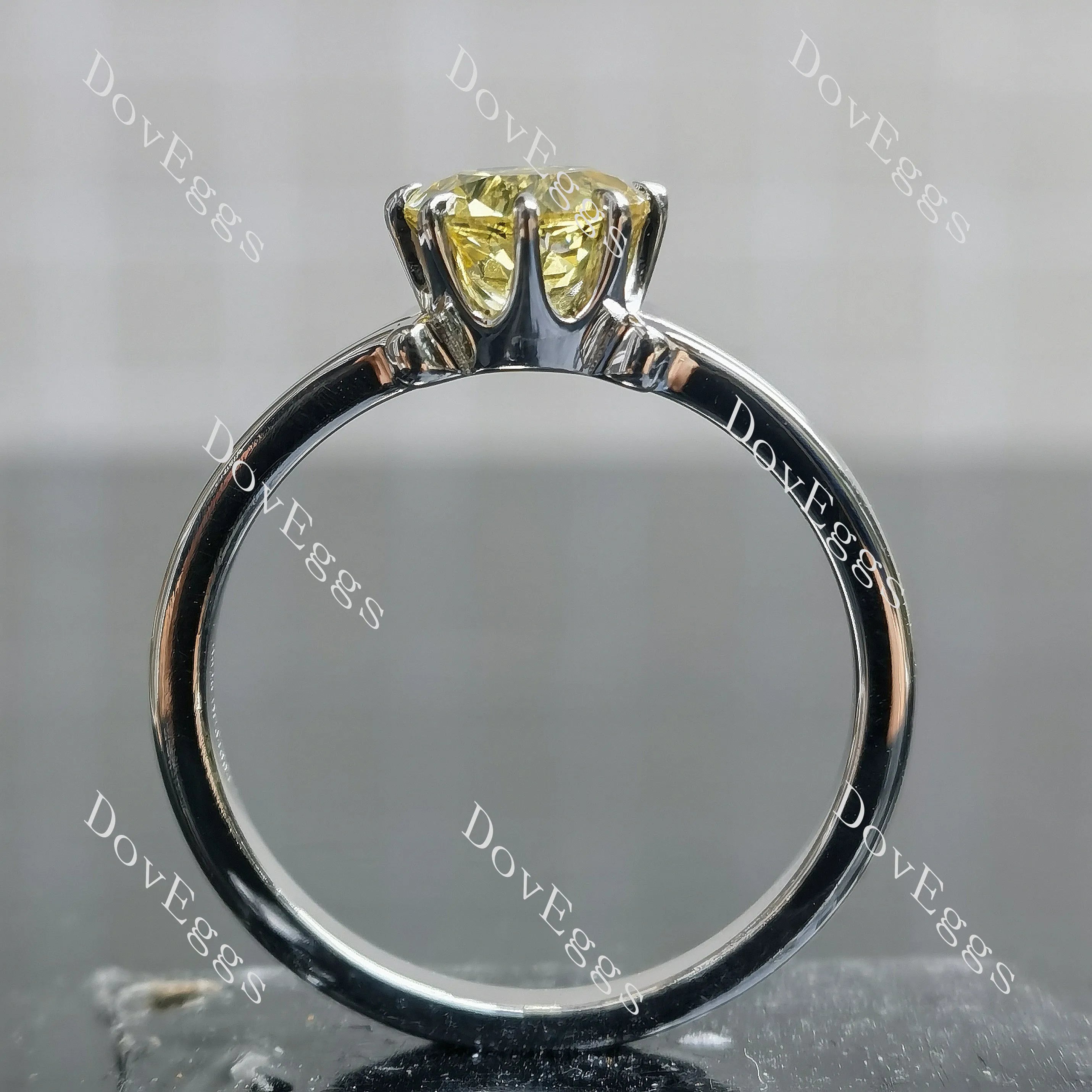 Round solitaire split shank moissanite engagement ring| DovEggs