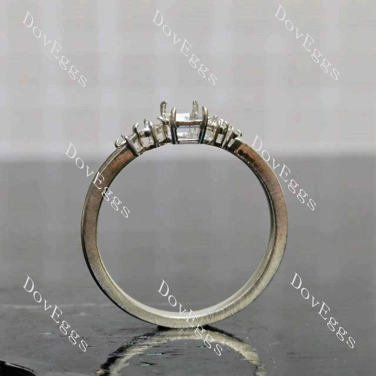 Doveggs side stones eternity engagement ring semi-mount only(Exclusively to DovEggs Stones)