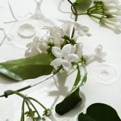 Body Mist - Heavy Cream