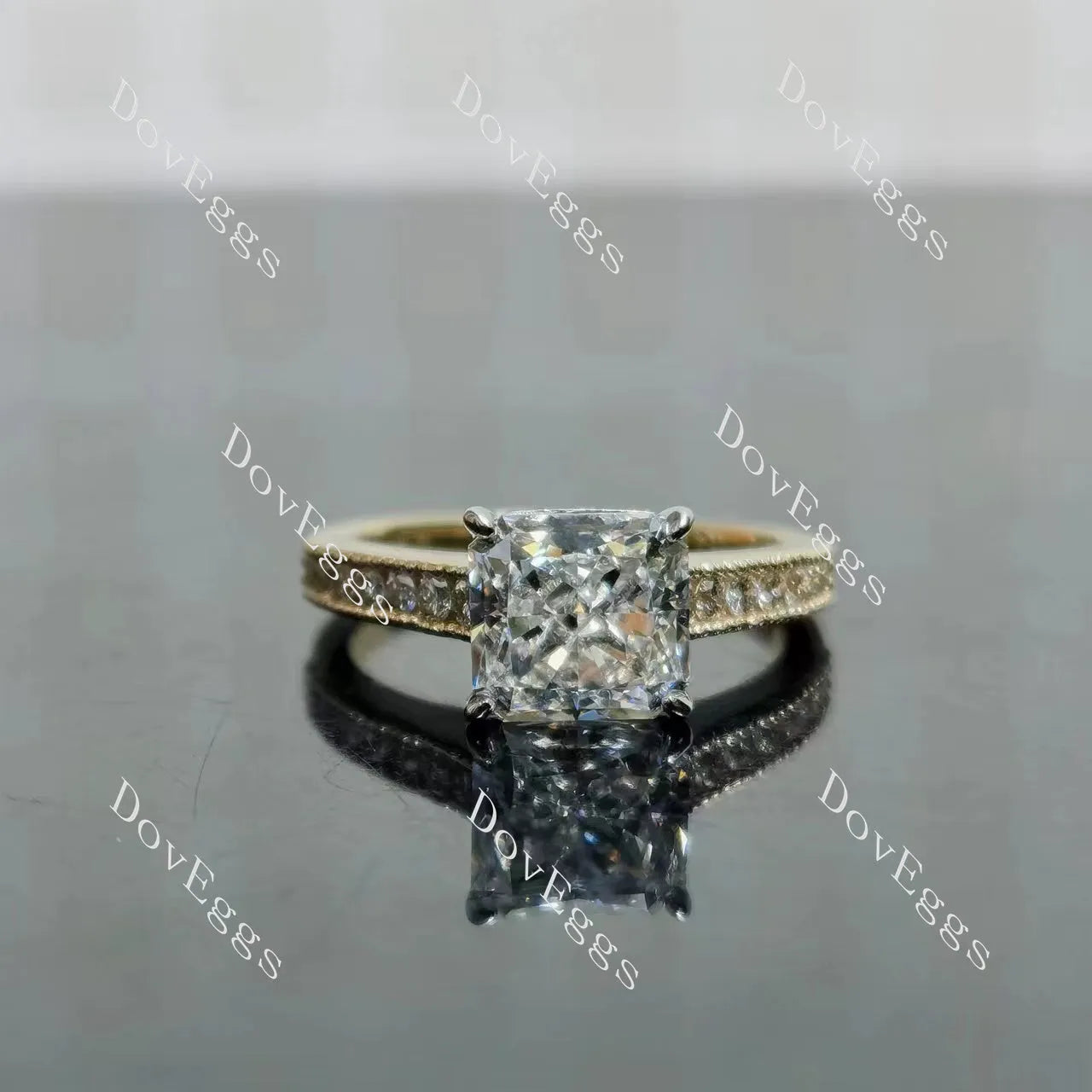 Tin’s Regalo-Radiant half eternity moissanite engagement ring| DovEggs