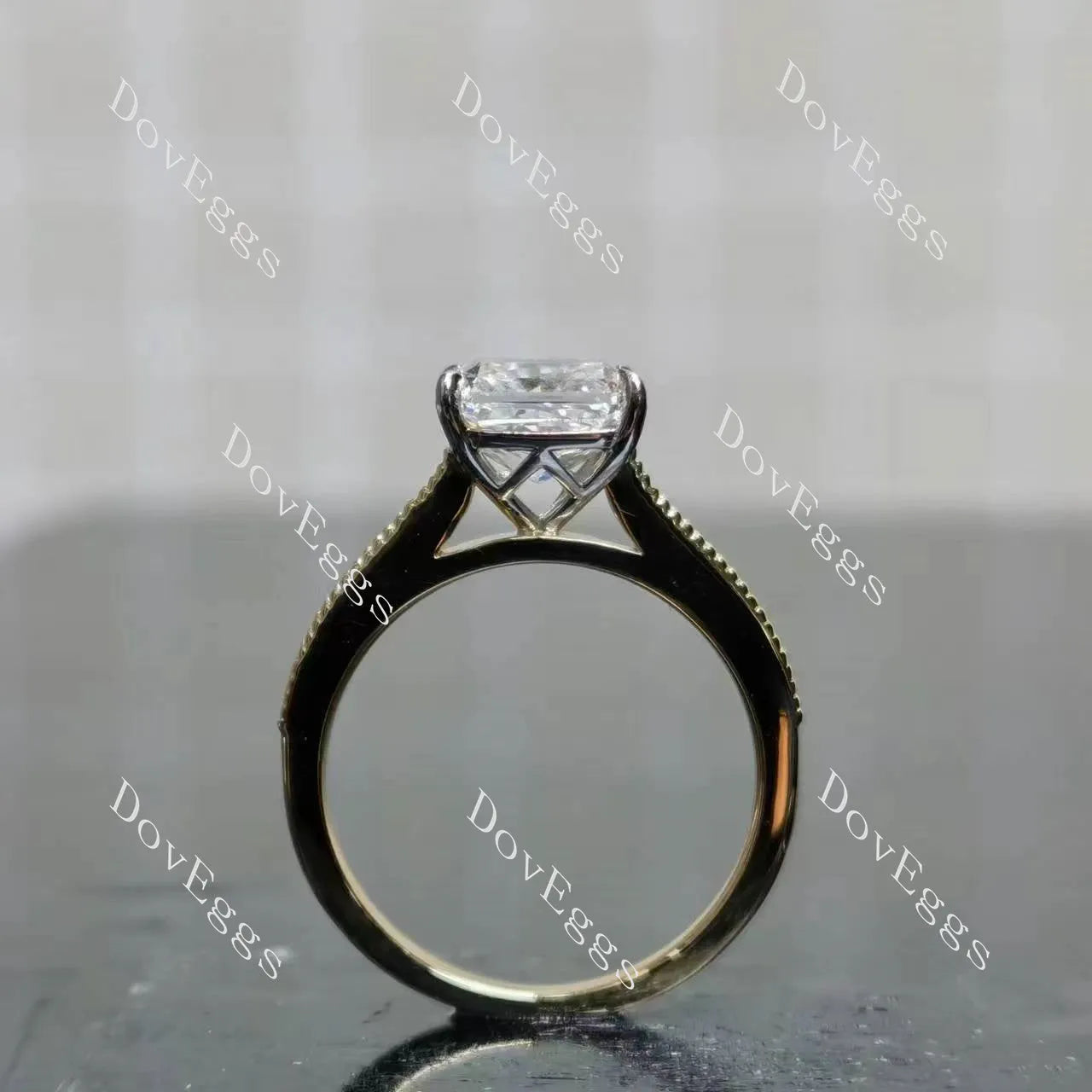Tin’s Regalo-Radiant half eternity moissanite engagement ring| DovEggs