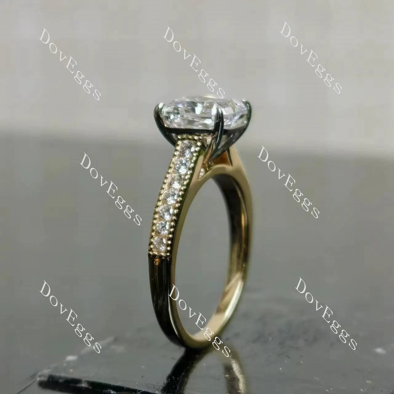 Tin’s Regalo-Radiant half eternity moissanite engagement ring| DovEggs