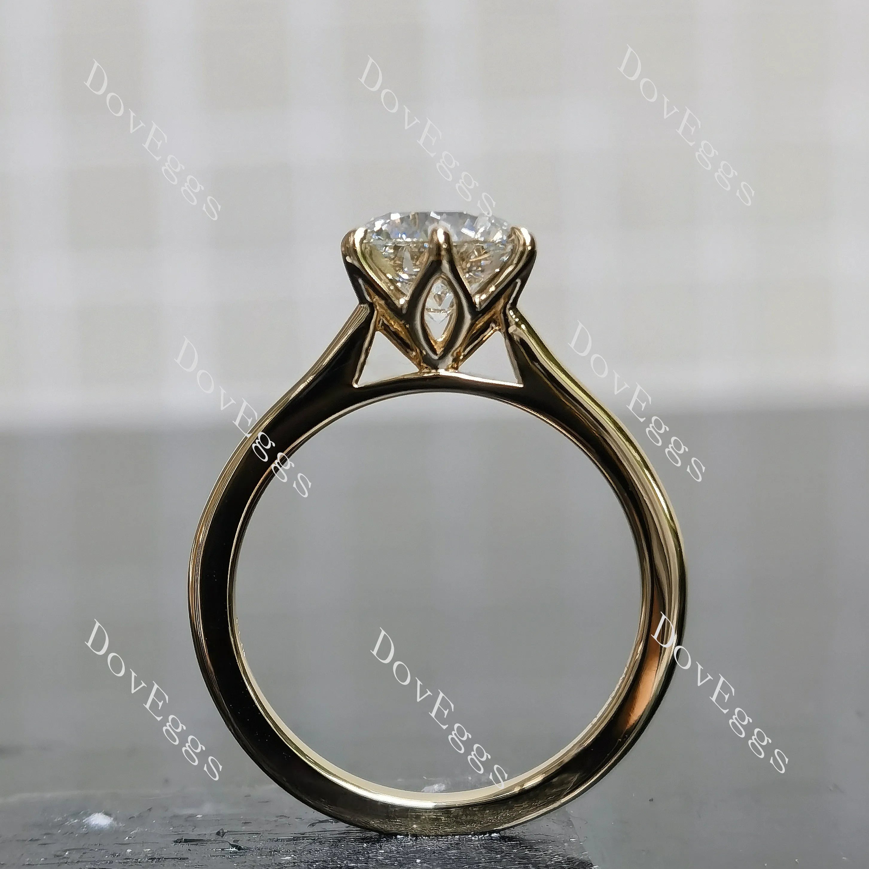 Round solitaire moissanite engagement ring| DovEggs