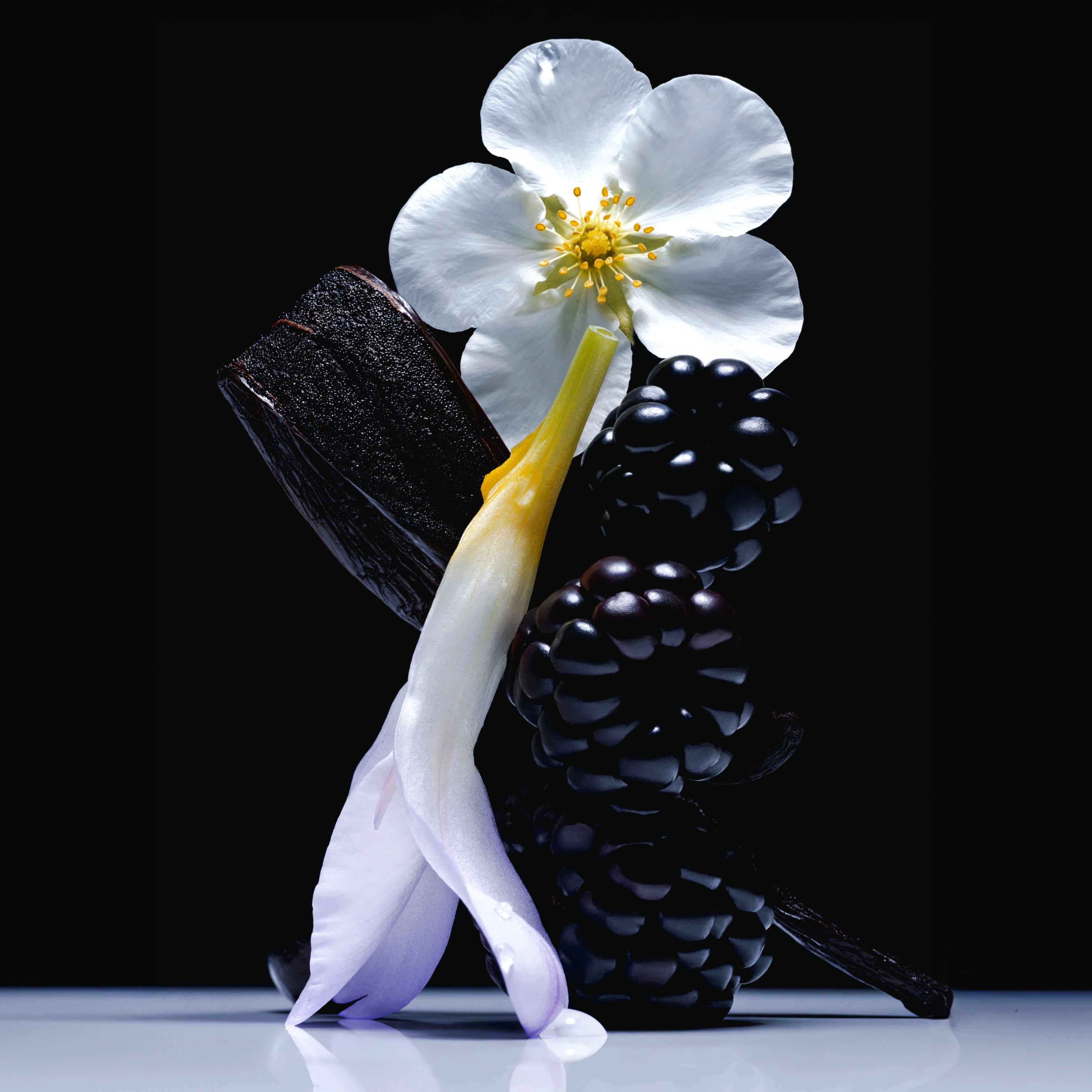 Vanilla Blackberry Travel Size Body Mist