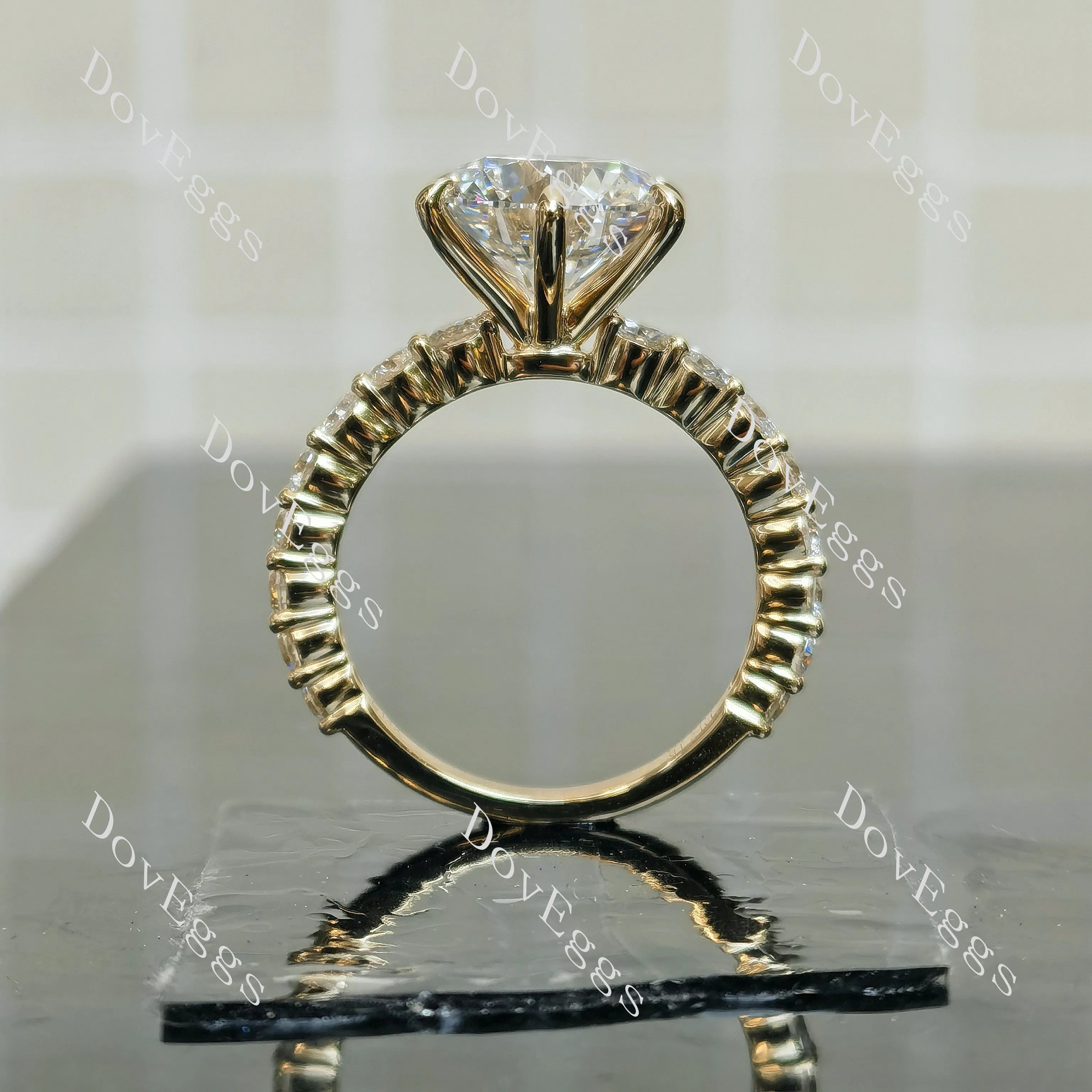 Round pave moissanite engagement ring| DovEggs