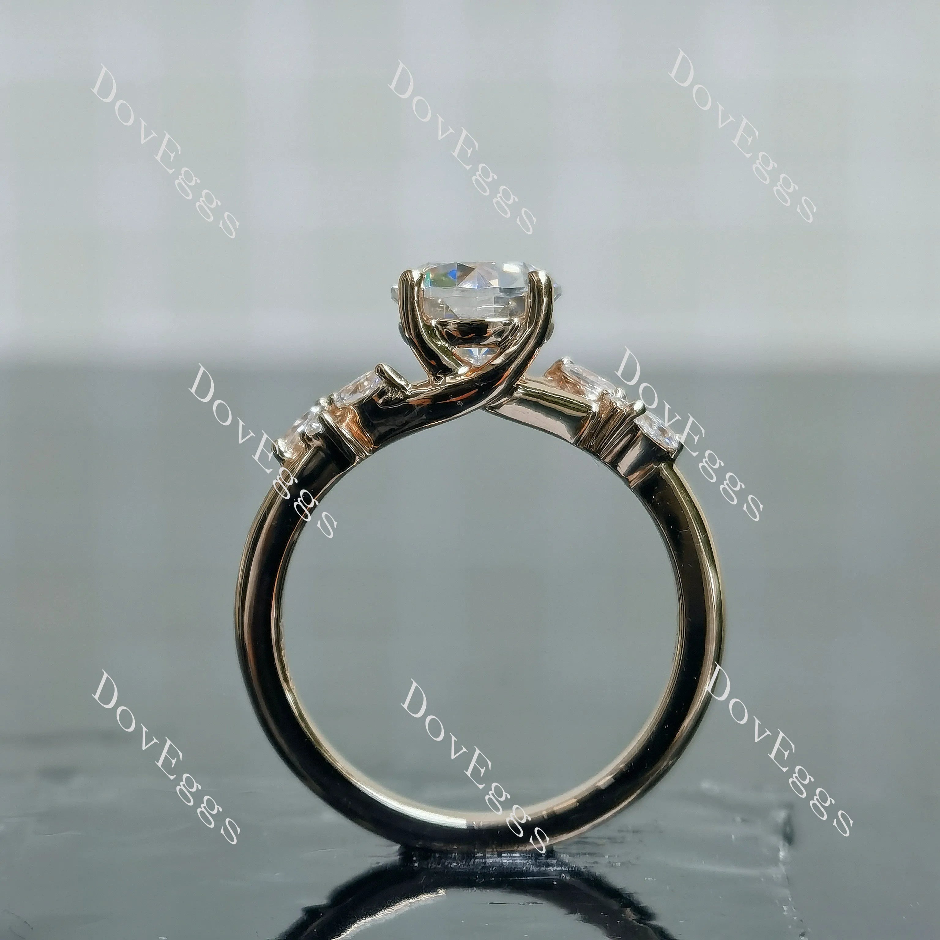Round side stones moissanite engagement ring| DovEggs