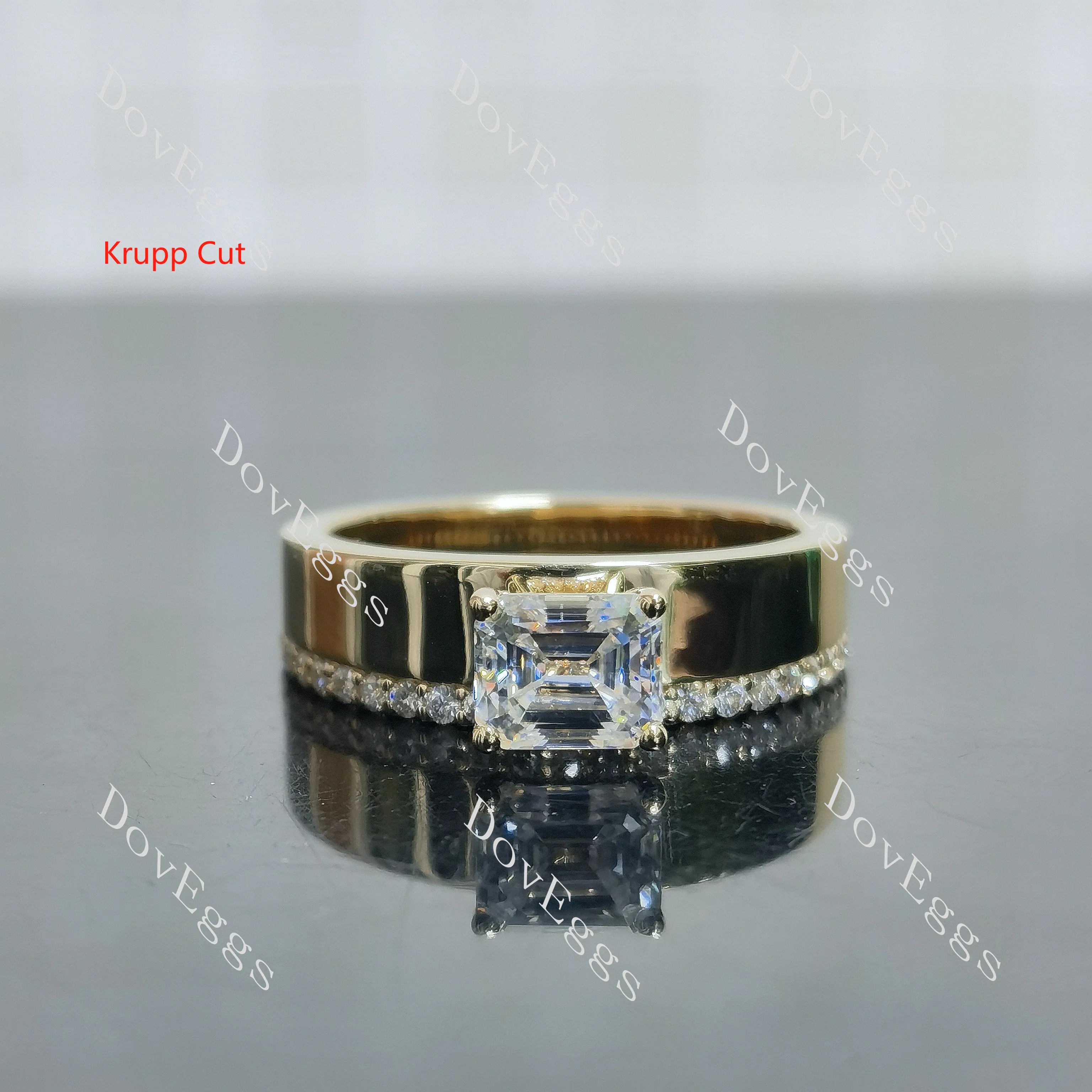 Princess pave moissanite additional stone band engagement ring| DovEggs