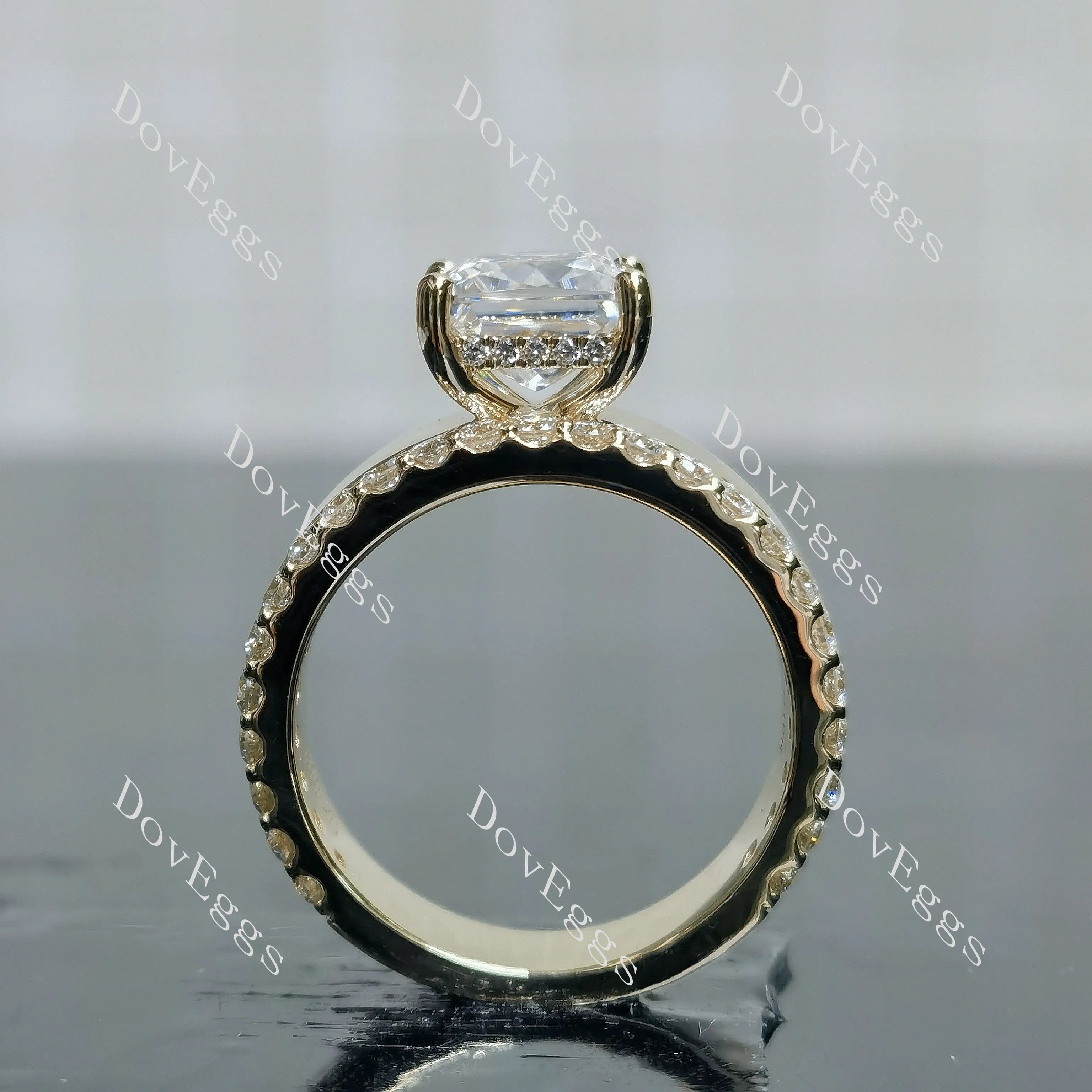 Princess pave moissanite additional stone band engagement ring| DovEggs
