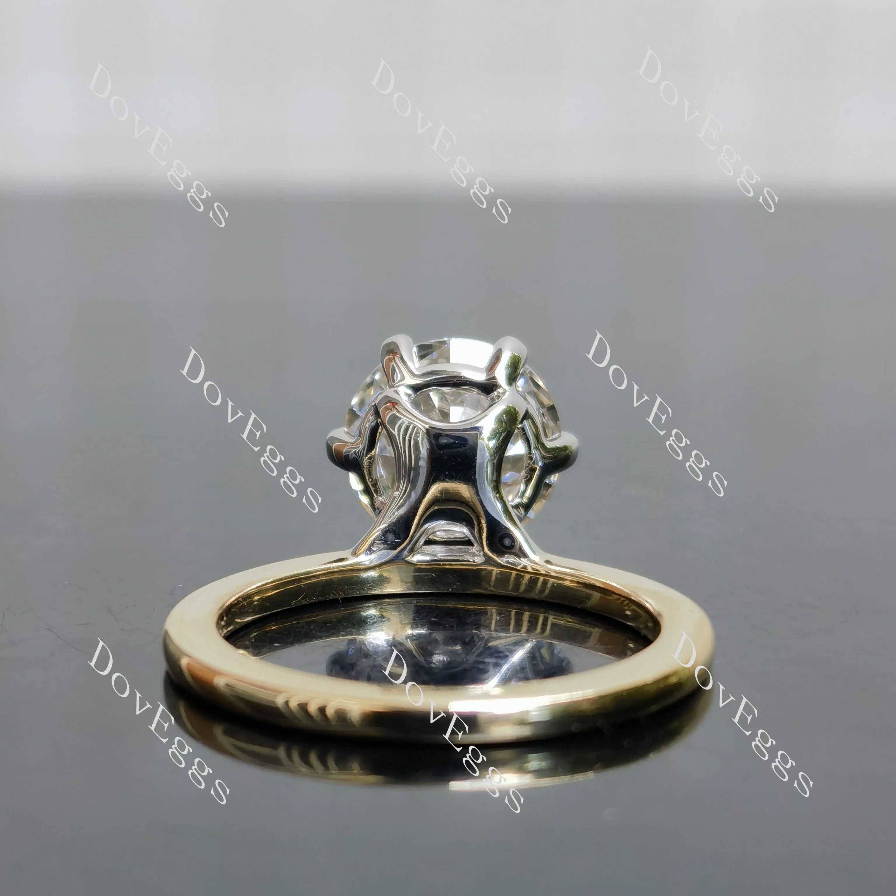 Round solitaire moissanite engagement ring| DovEggs