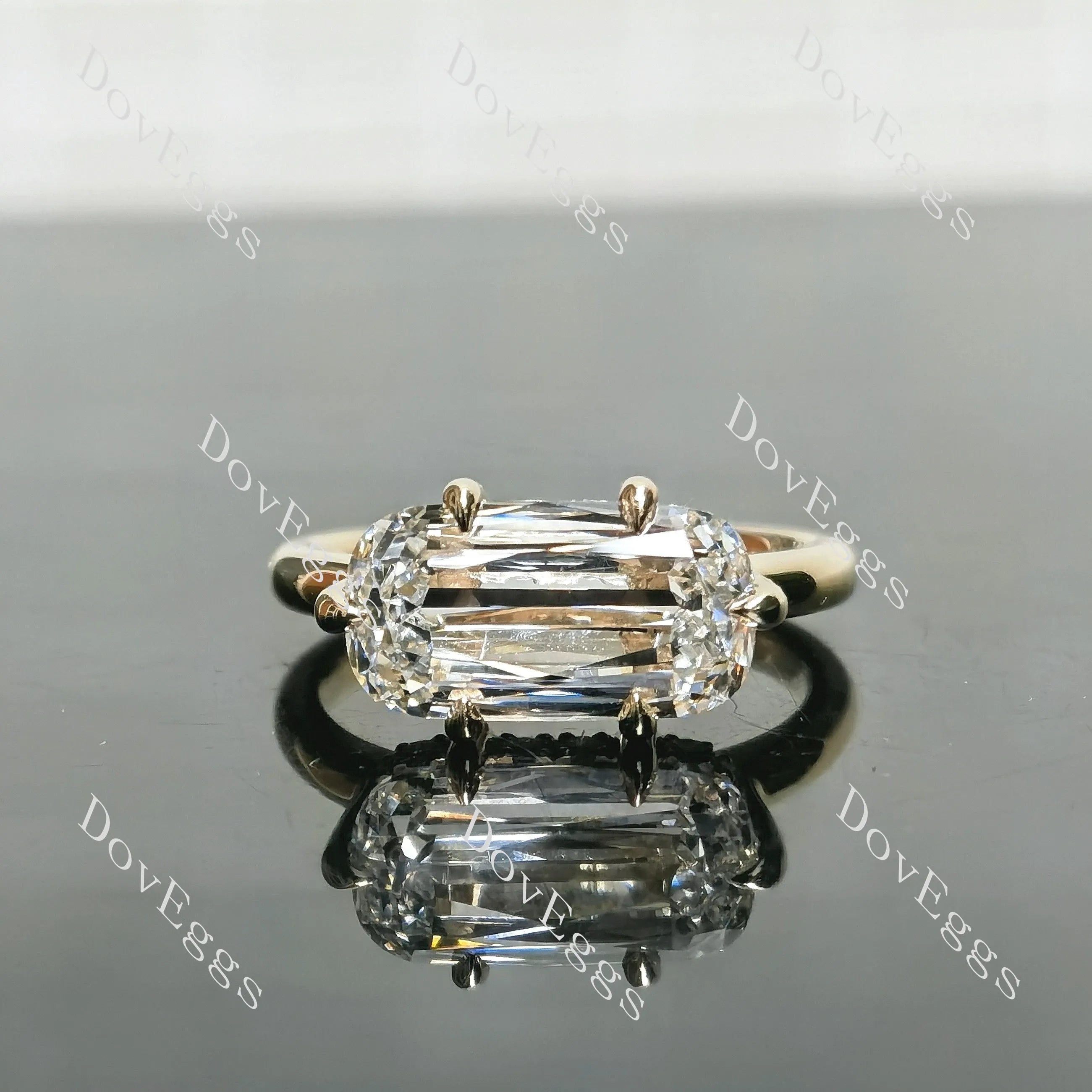 Cushion hidden halo moissanite engagement ring| DovEggs