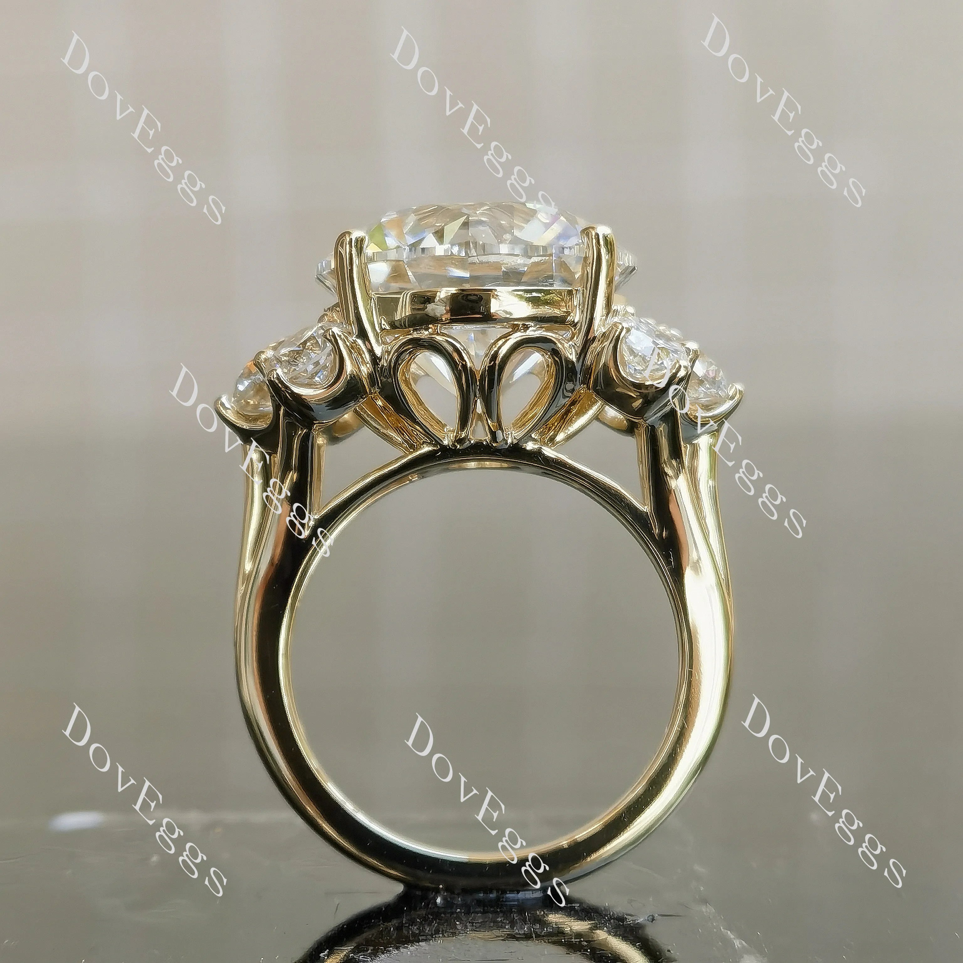 Round side stones moissanite engagement ring| DovEggs