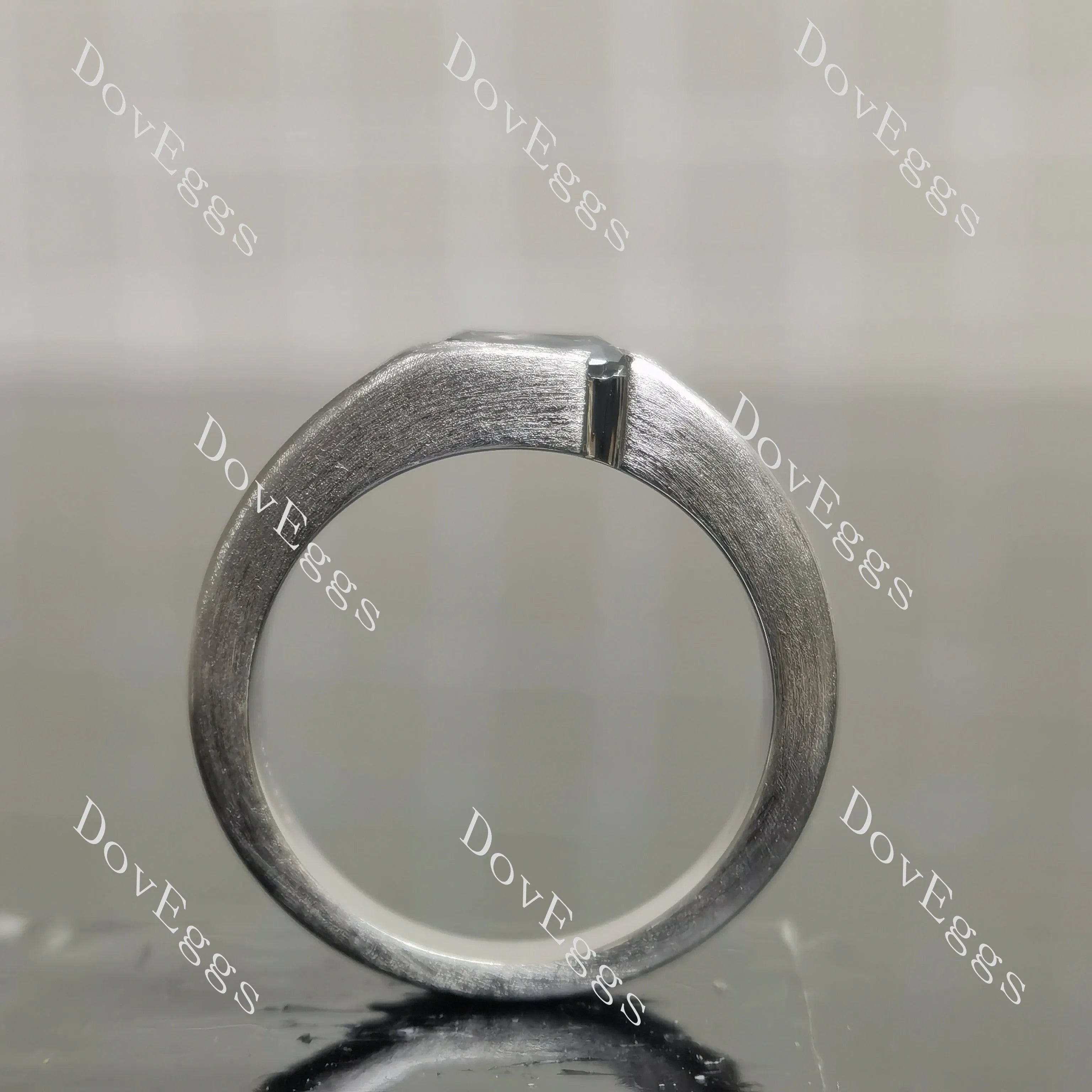 Criss cut channel set 1ct stardust grey moissnaite brushed finish engagement ring for man| Doveggs