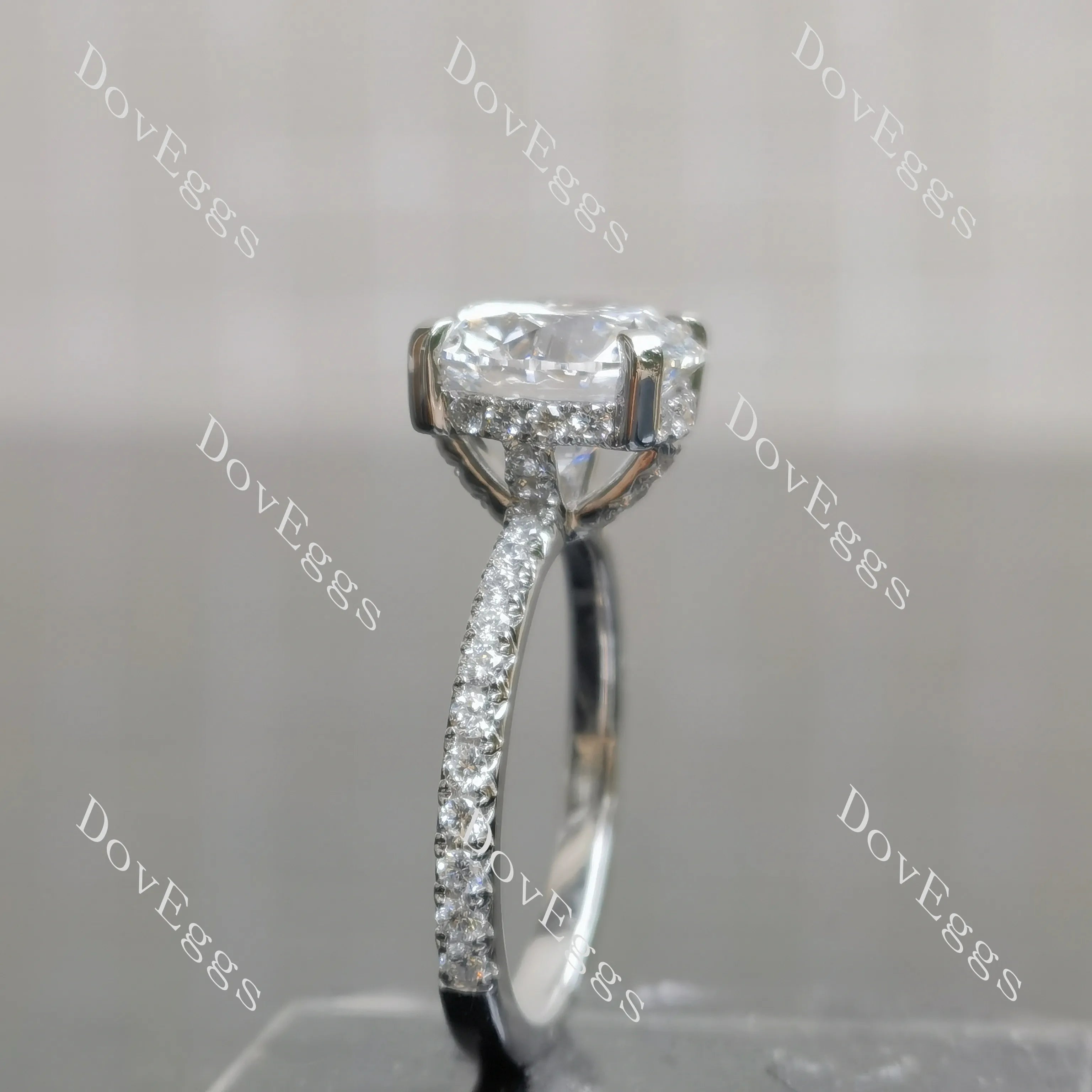 Round 3/4 eternity pave moissanite engagement ring| DovEggs