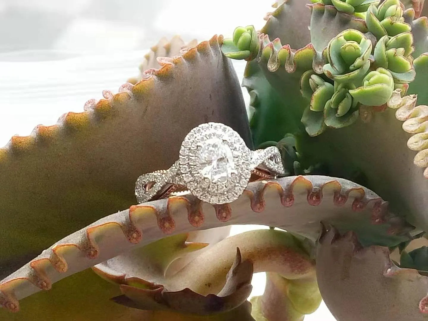 doveggs 0.5 carat lab created diamond engagement ring