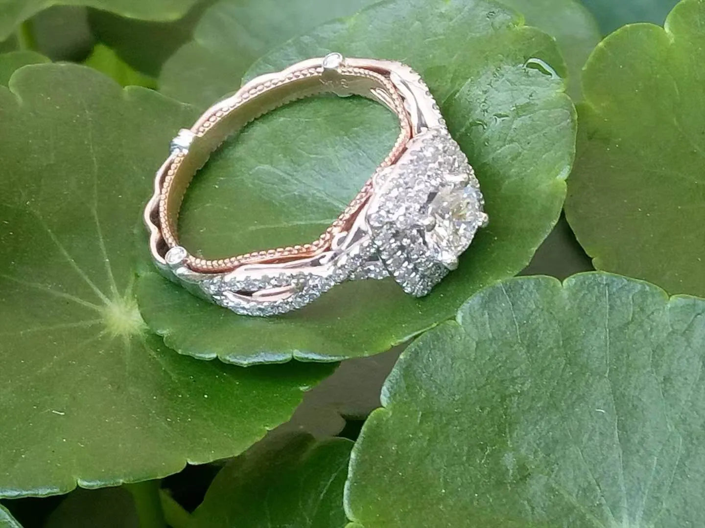 doveggs 0.5 carat round lab created diamond engagement ring