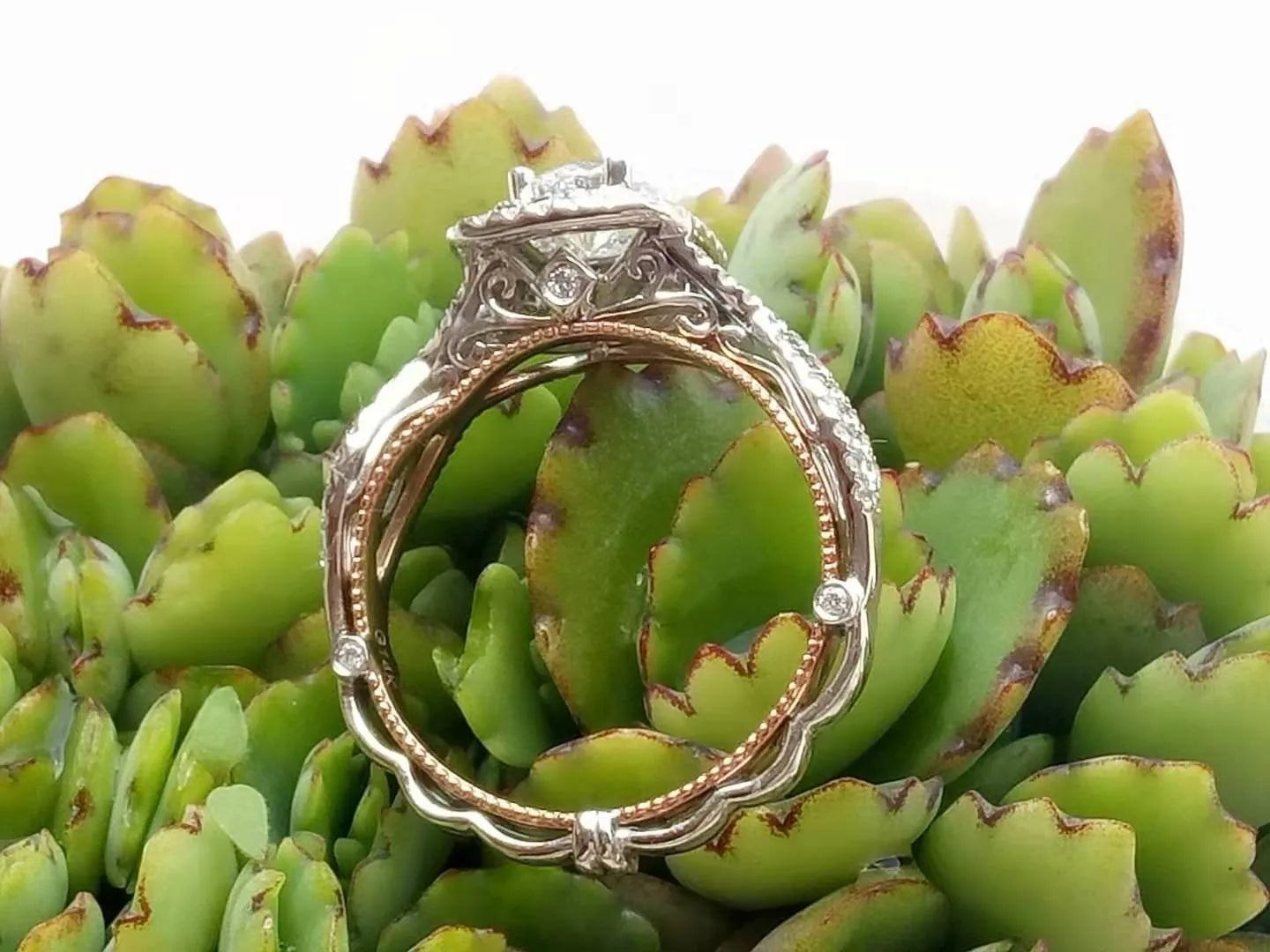 doveggs 0.5 carat round lab created diamond engagement ring
