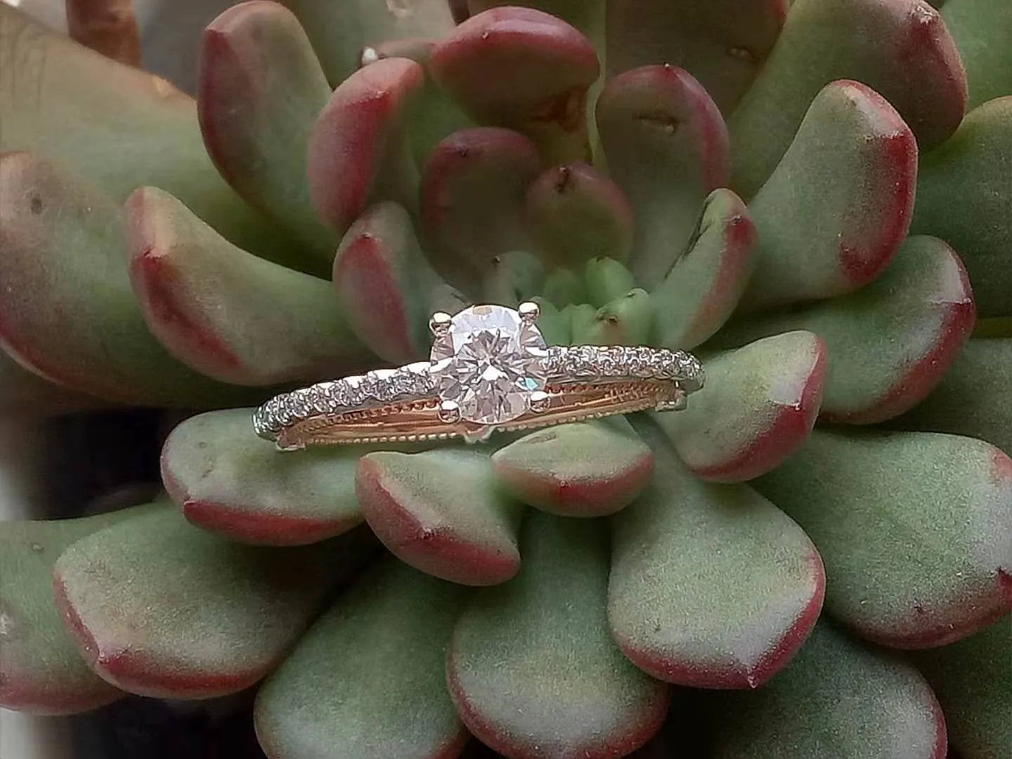 doveggs 0.6 carat round lab created diamond engagement ring