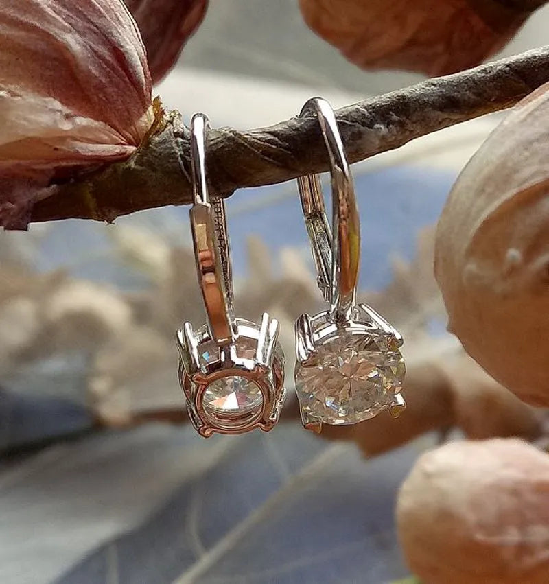 Doveggs round moissanite hoop earrings for women